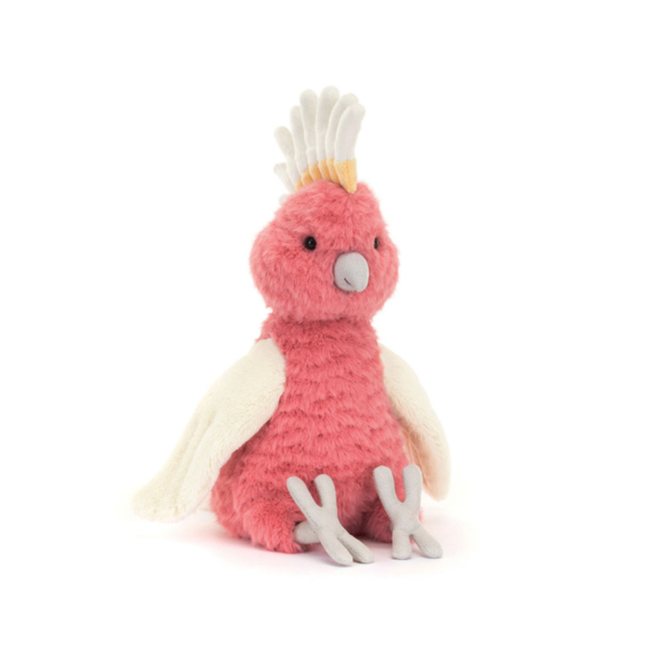 Budgeby Parrot