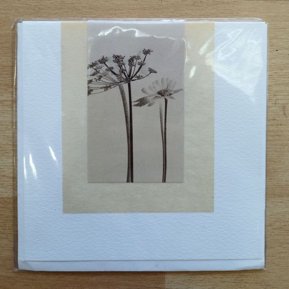 Blank Card- Flowers**