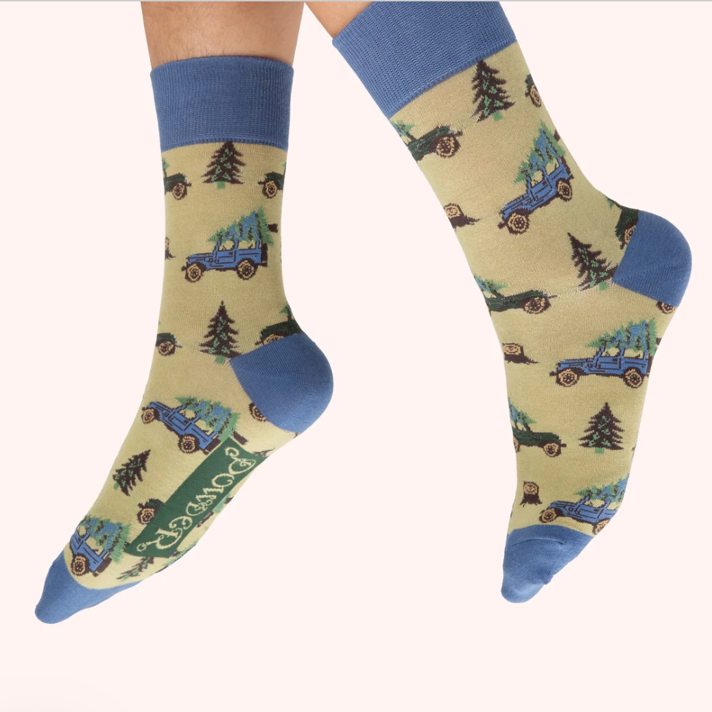 Fa La La La Landy Socks