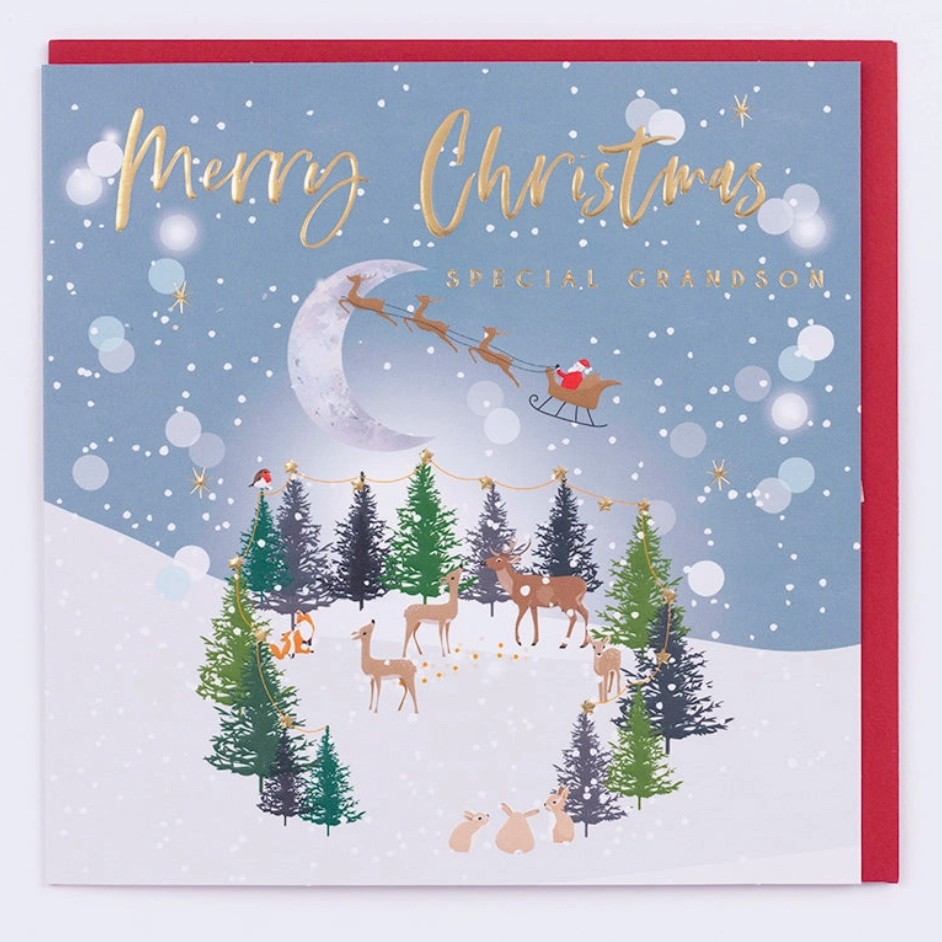 Grandson Christmas Card