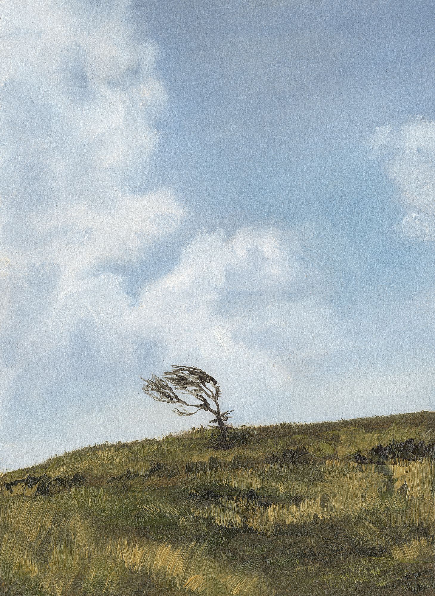 The Lonely Tree - oil on paper