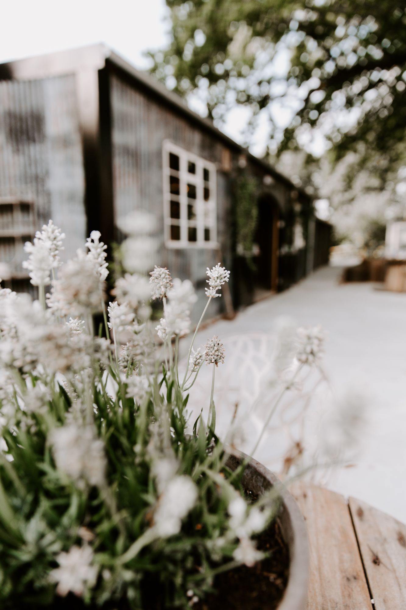 luxury wedding photographer