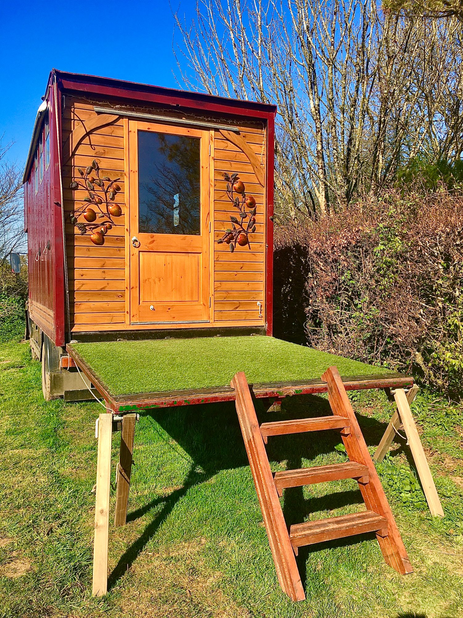 treehuggers hq