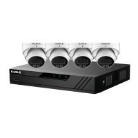 Eagle 8CH IP NVR Kit with 4 x 4MP Turret Cameras