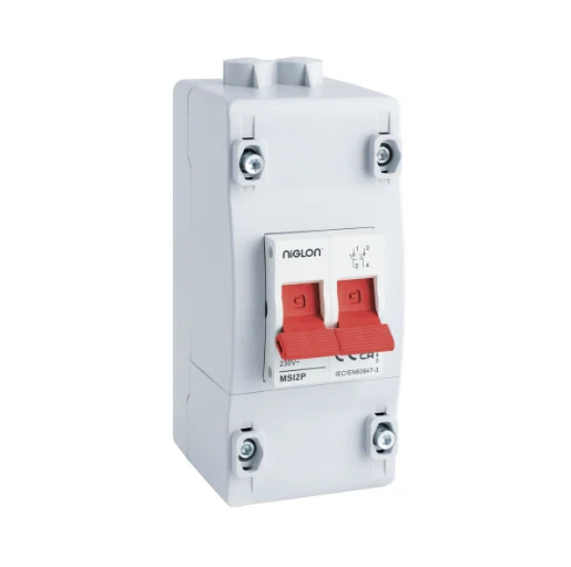 Niglon MSI2P 100A DP Meter Supply Switch