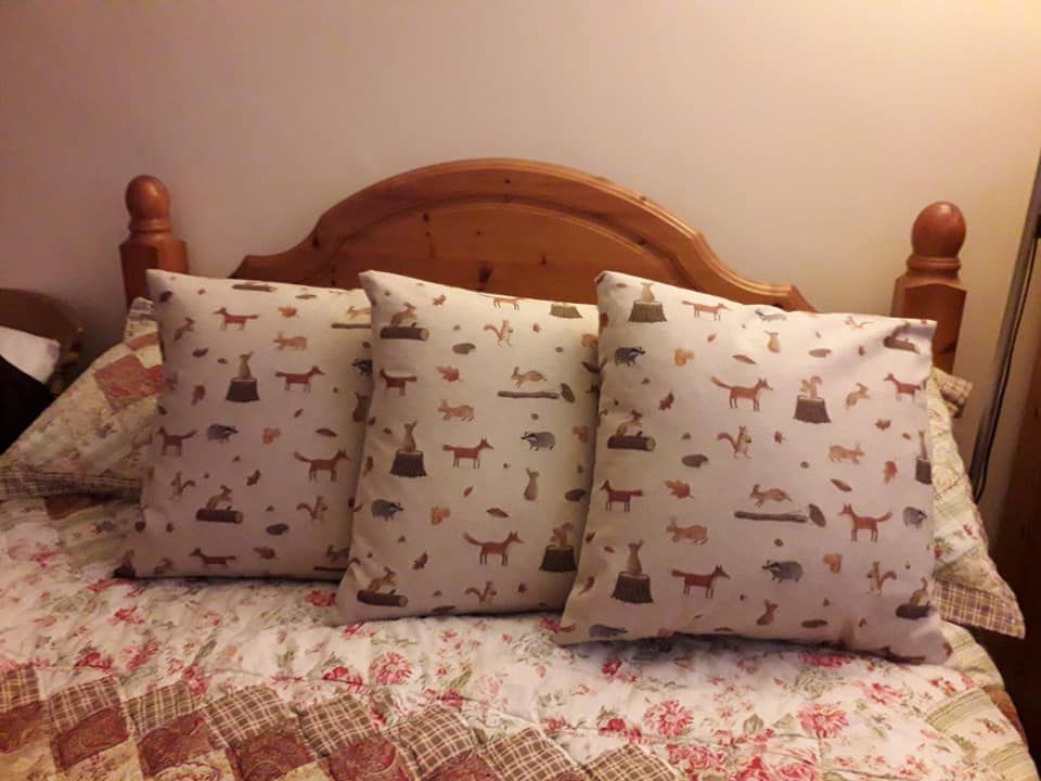 jens cushions.jpg