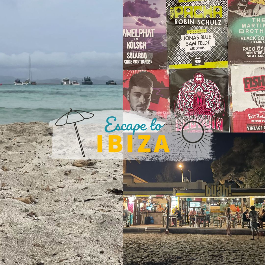 Ibiza image 1