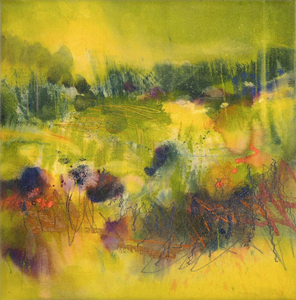 Rewilding