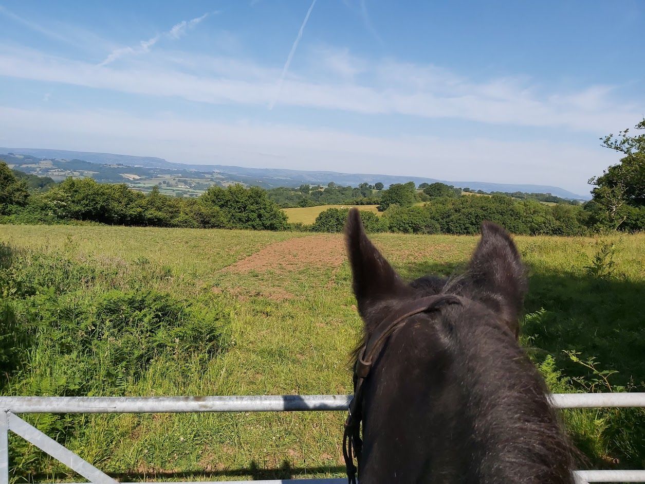 View across Usk valley on horseback
