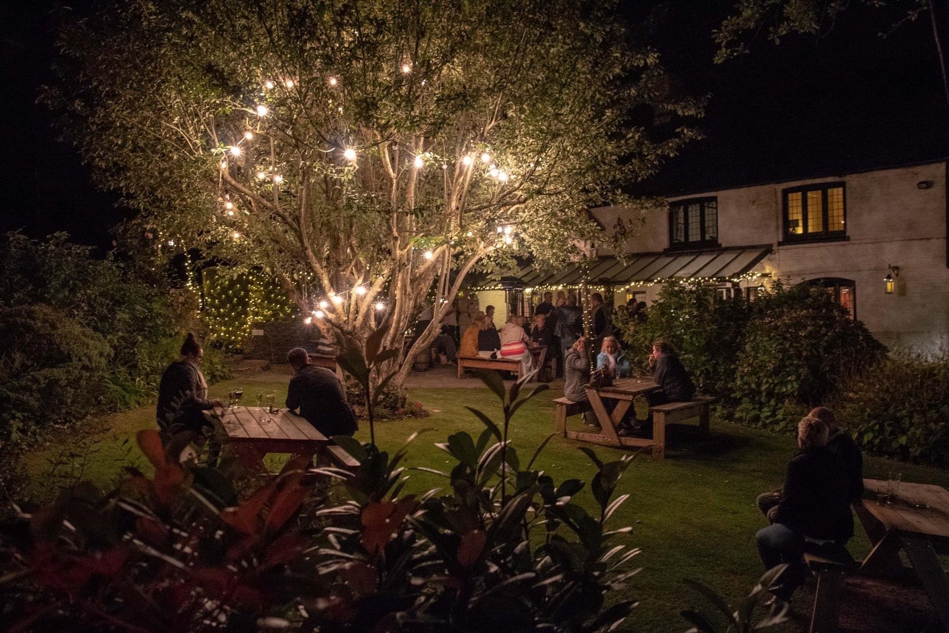 winter evenings at The Greyhound