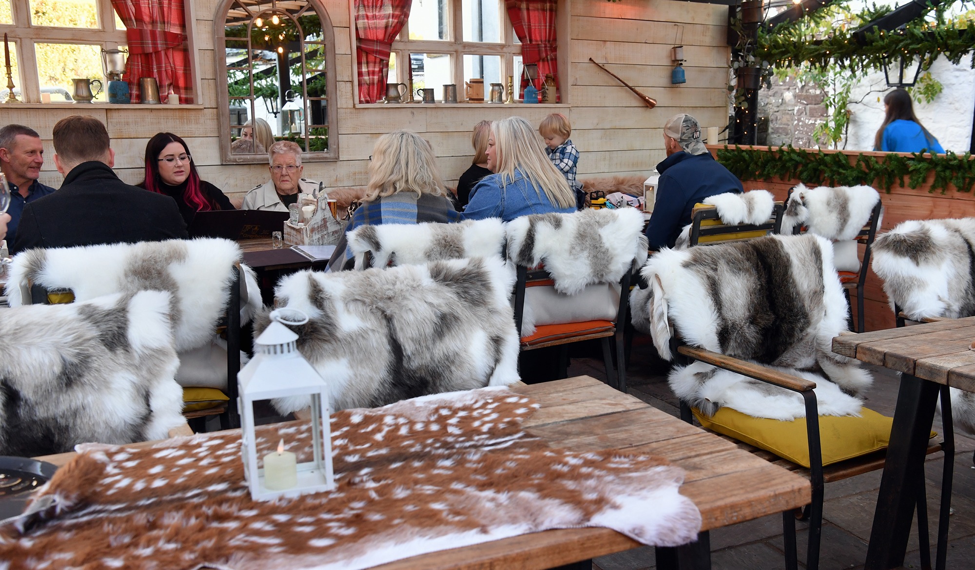 RWP_Greyhound_Alpine_023.jpg