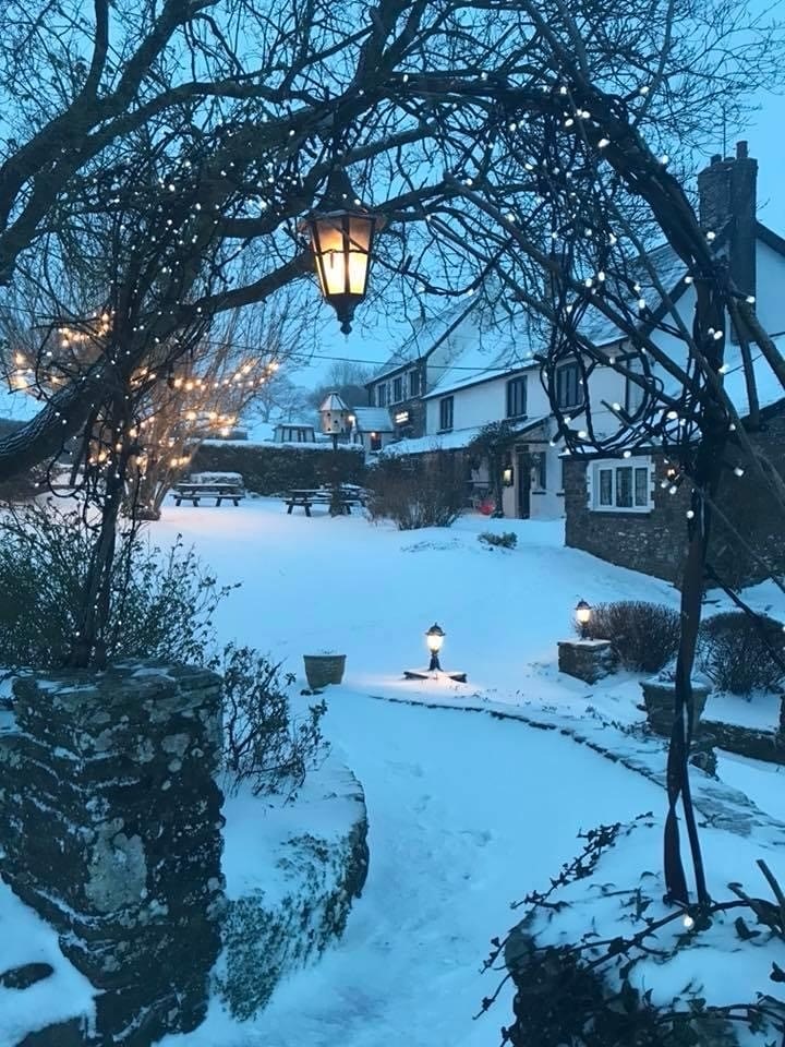 Xmas The Greyhound in winter.jpg