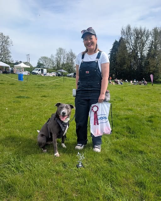 Get Barking Mad dog show usk wales
