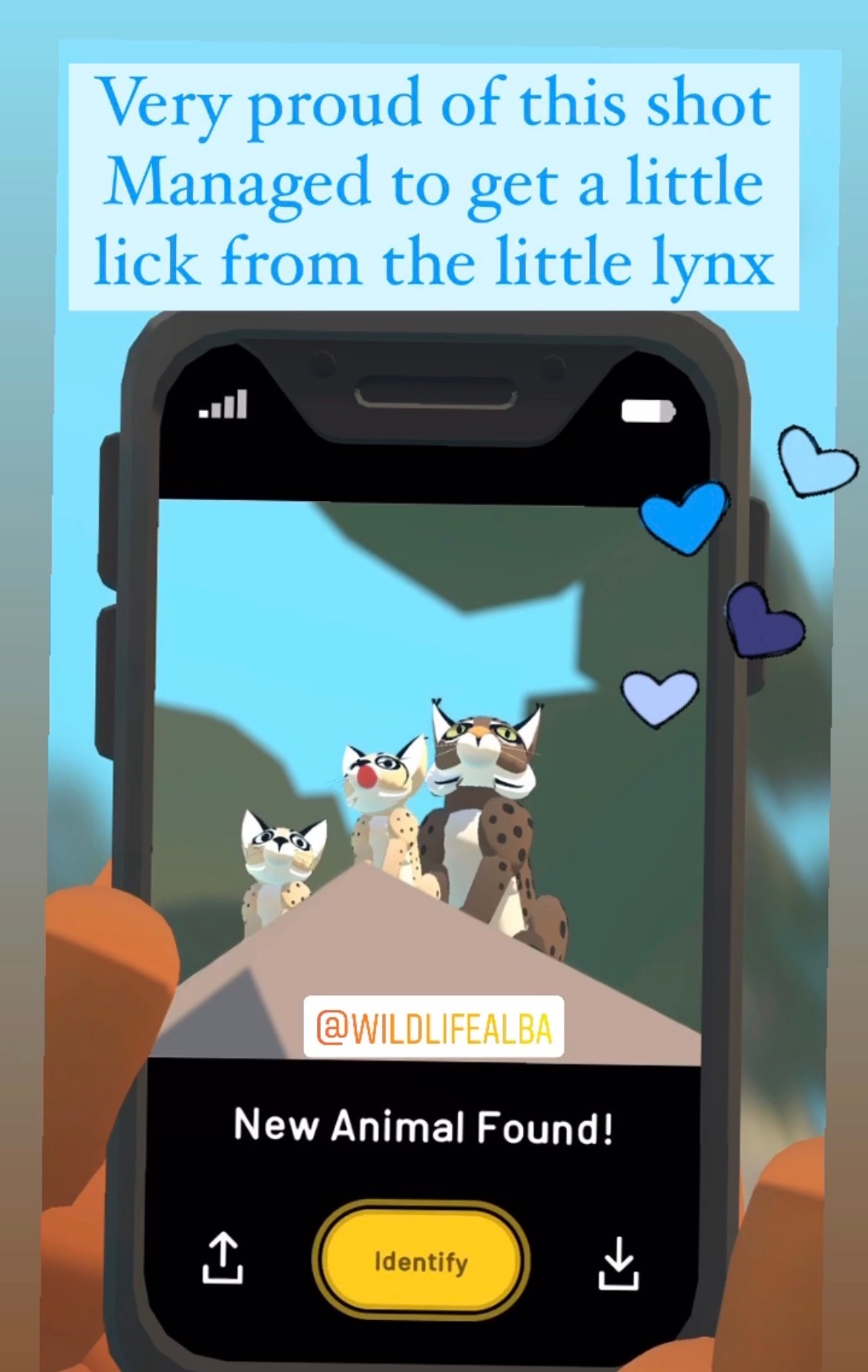A shot of game play from Alba, text says "very proud of this shot managed to get a little lick form the little lynx" in pale blue showing off a family of lynx in a camera phone set up