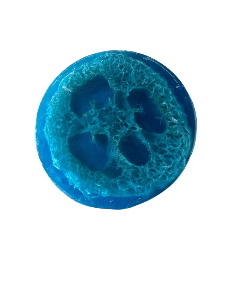 Blue Loofah  ðŸ”µ