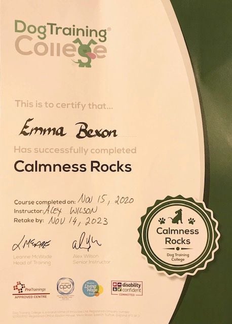 Calmness Rocks Certificate