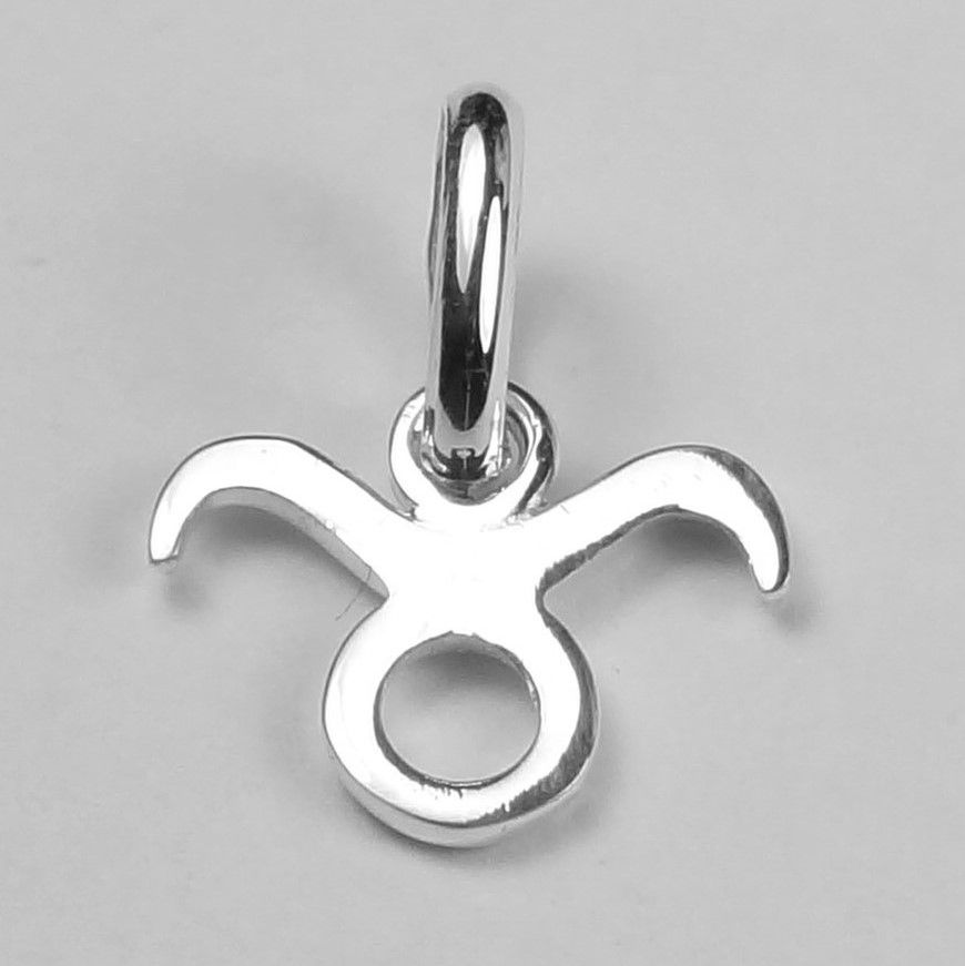 taurus zodiac sign pendant