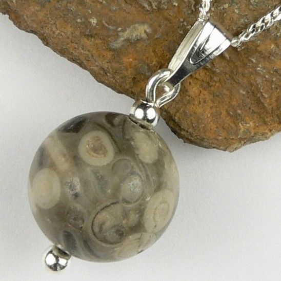 Sterling silver 12mm (+/-) Fossil Crinoid semi-precious stone pendant, with optional chain, in a gift box