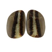 Septarian slices - pair