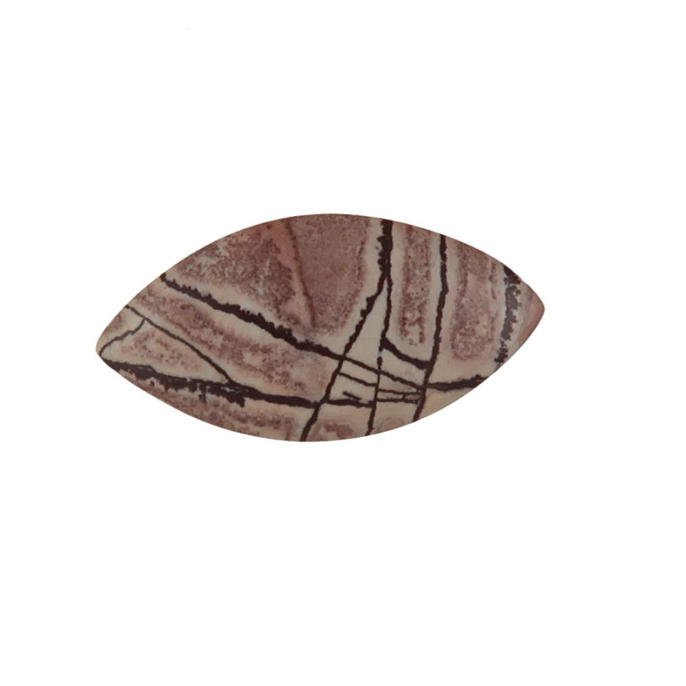 Sonora dendritic jasper cabochon