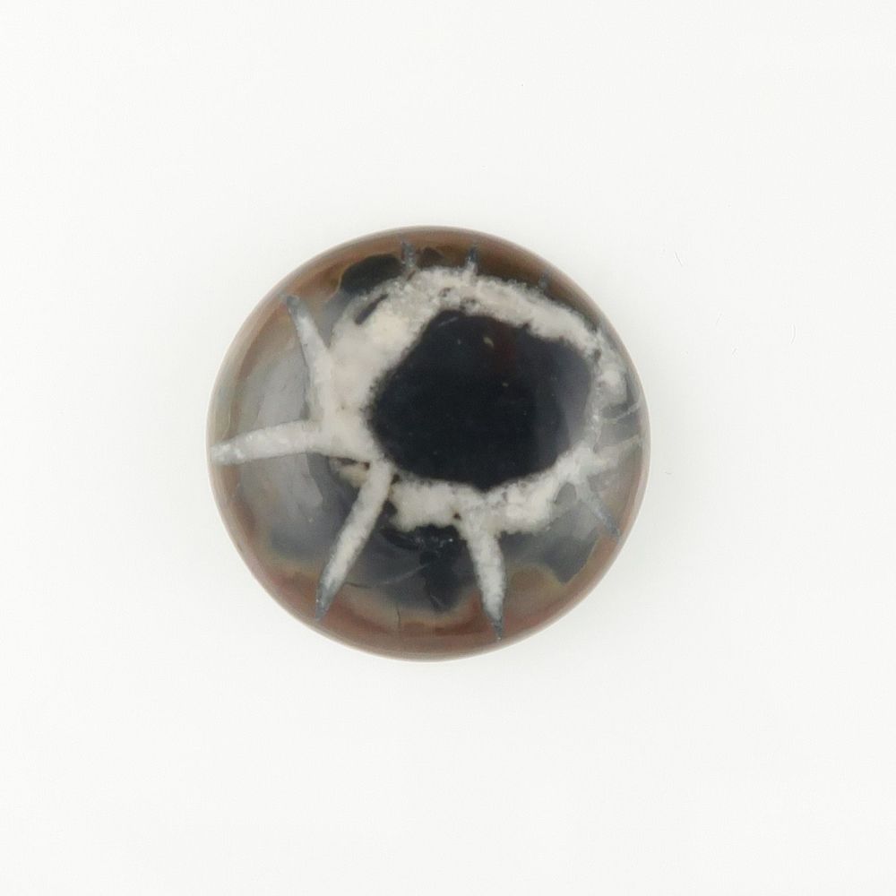 Septarian cabochon