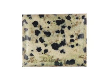 dalmatian jasper