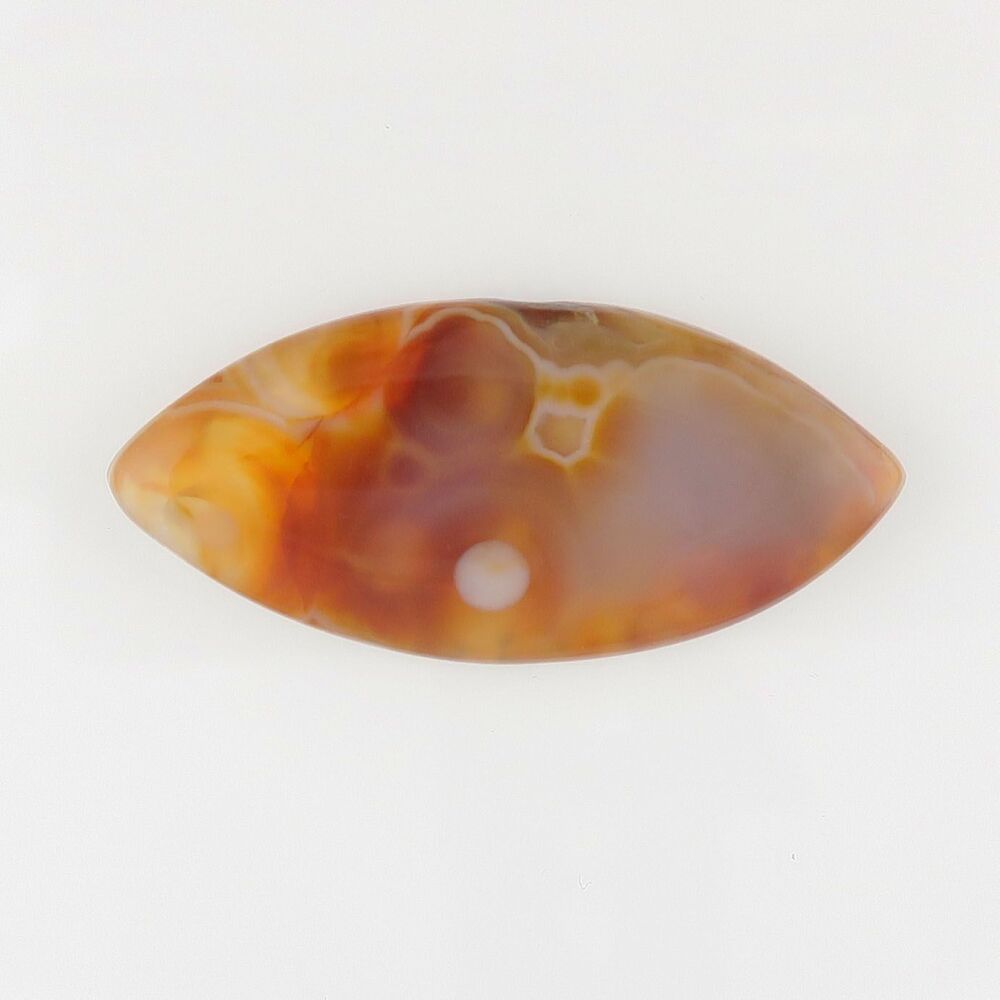 Orbicular agate cabochon