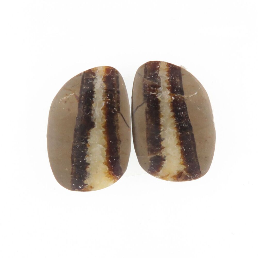 Septarian pair