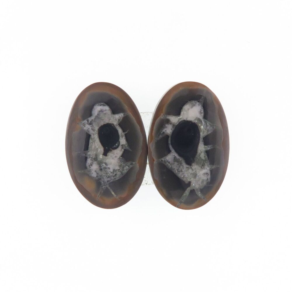 Septarian pair - 1942