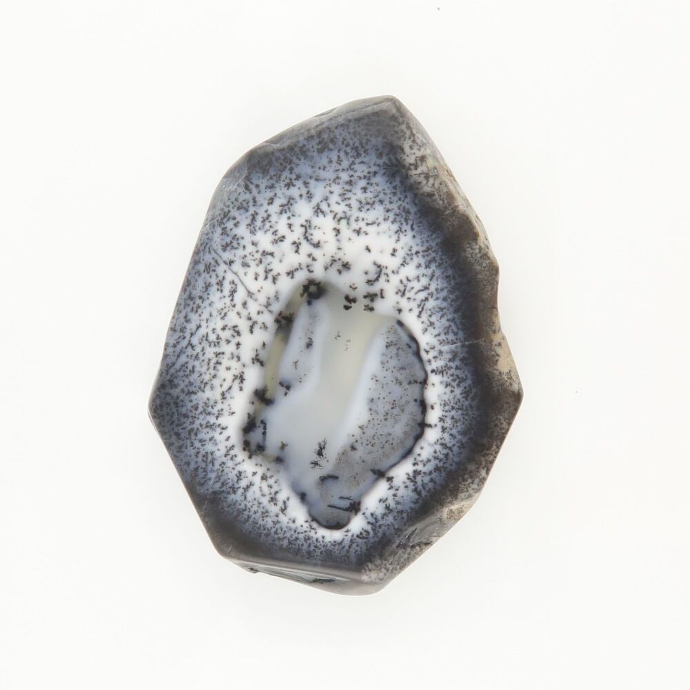 Dendritic agate slice - 2292