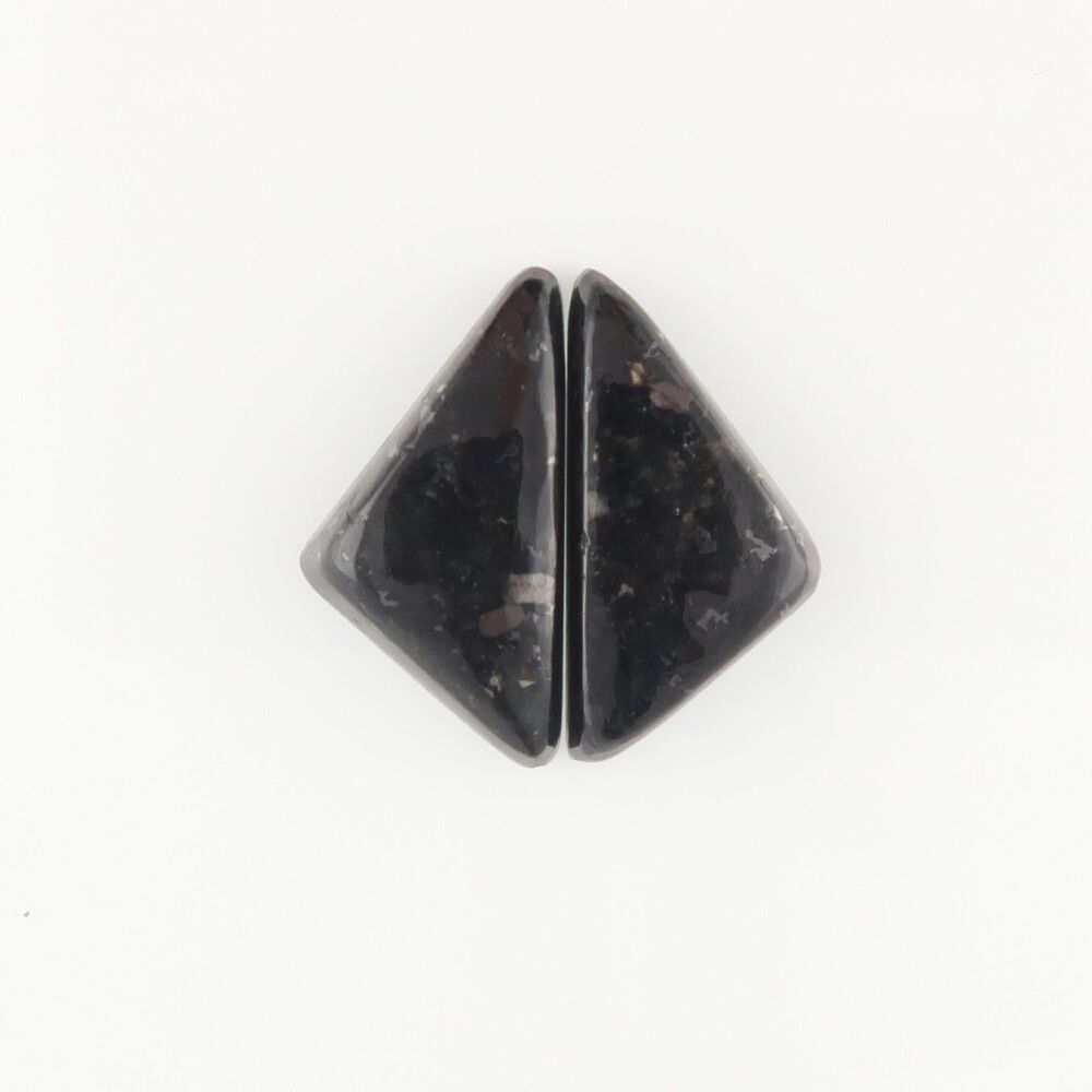 Nuummite pair - 2396