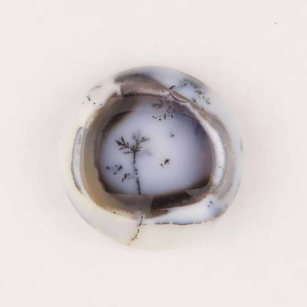 Dendritic agate cabochon - 2084