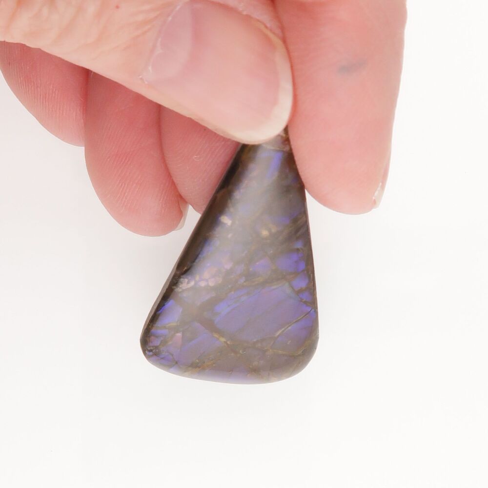 Ammolite - 2431