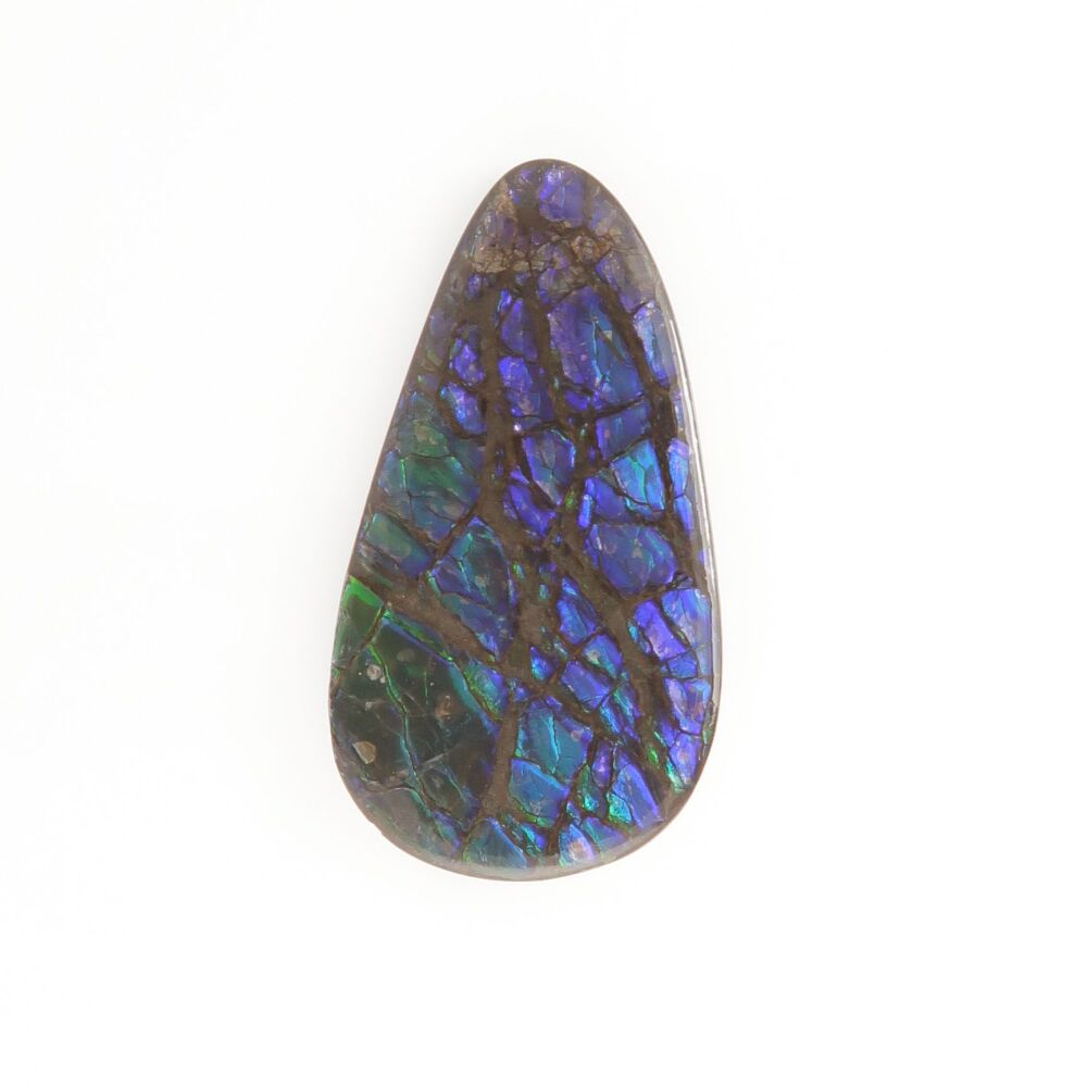 Ammolite - 2432