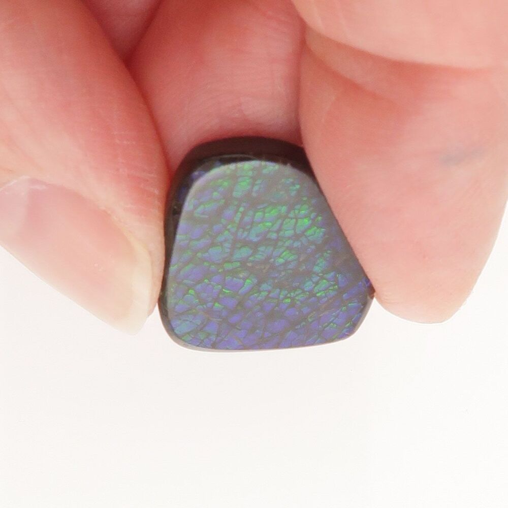 Ammolite - 2430