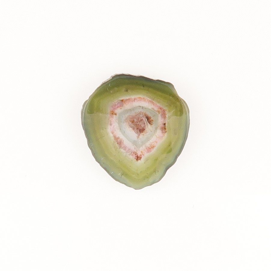 Watermelon tourmaline slice - 2425