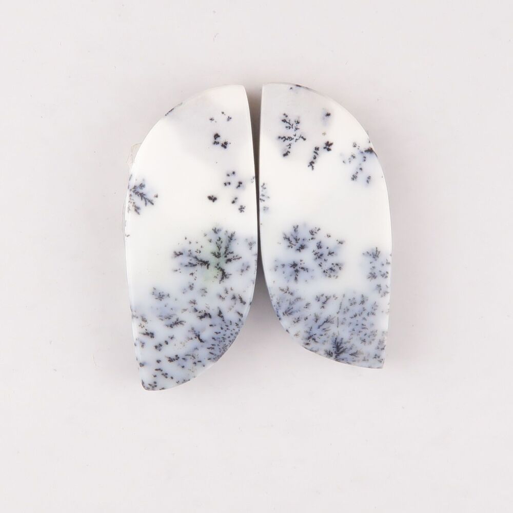 Dendritic agate pair - 2446