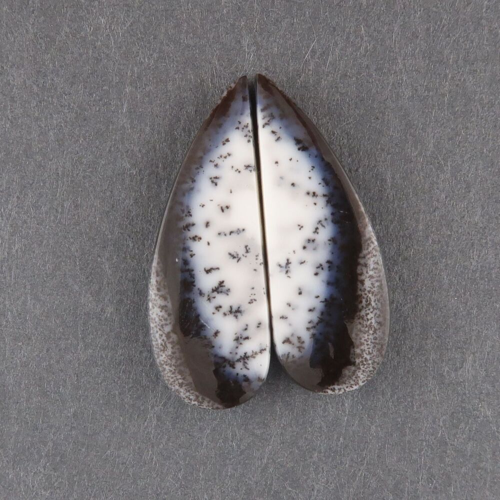 Dendritic agate pair - 2599