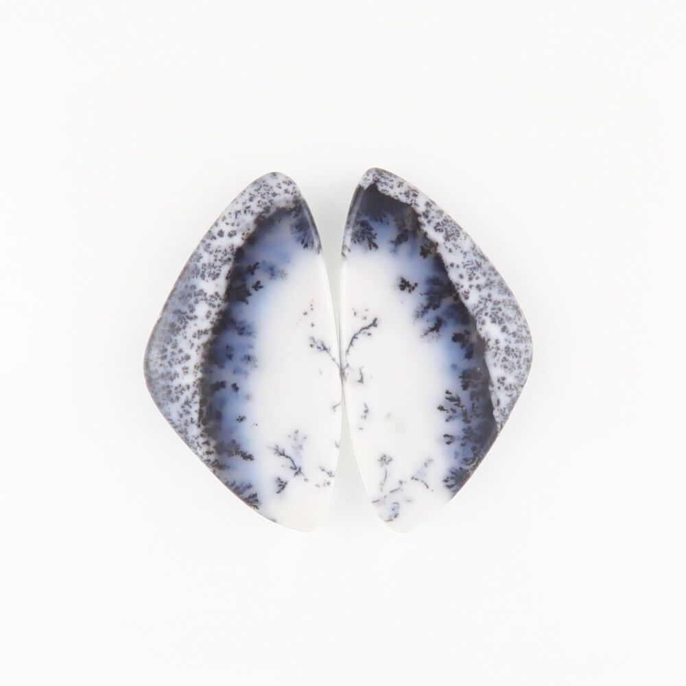 Dendritic agate pair - 2533