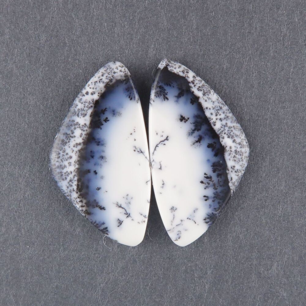Dendritic agate pair