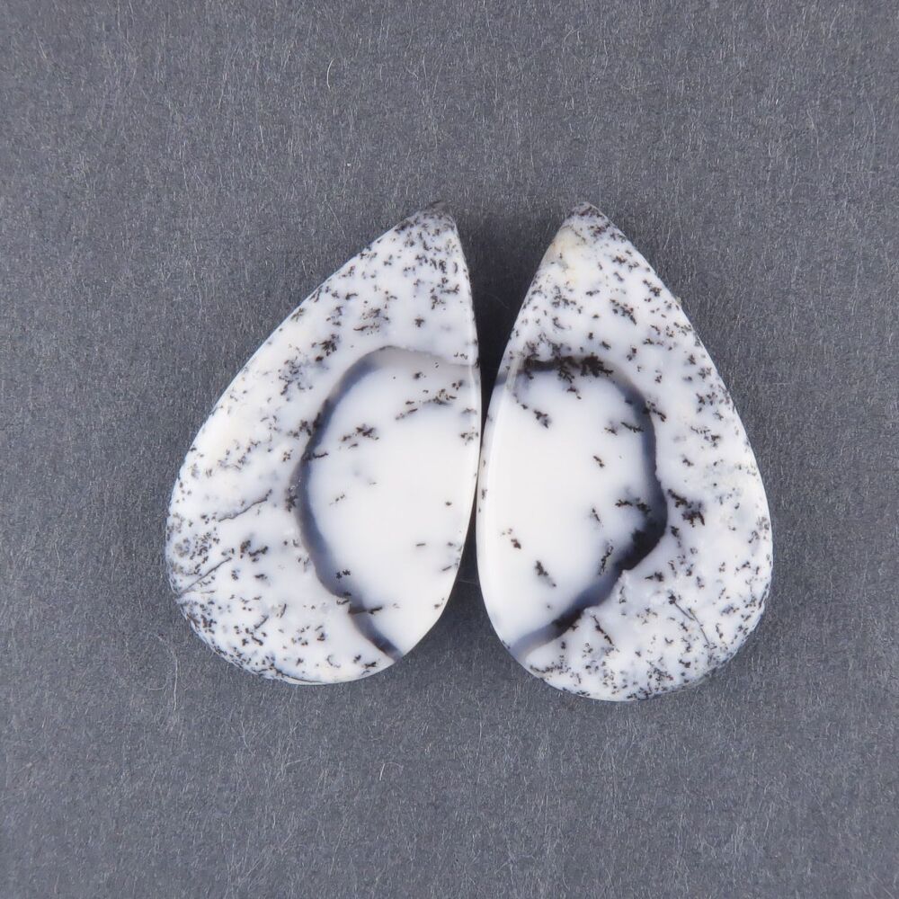 Dendritic agate pair