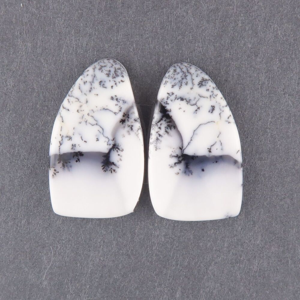 Dendritic agate pair