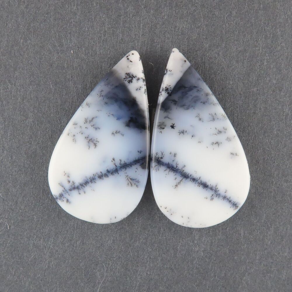 Dendritic agate pair