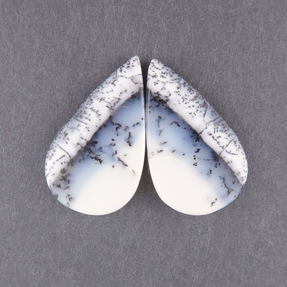Dendritic agate pair