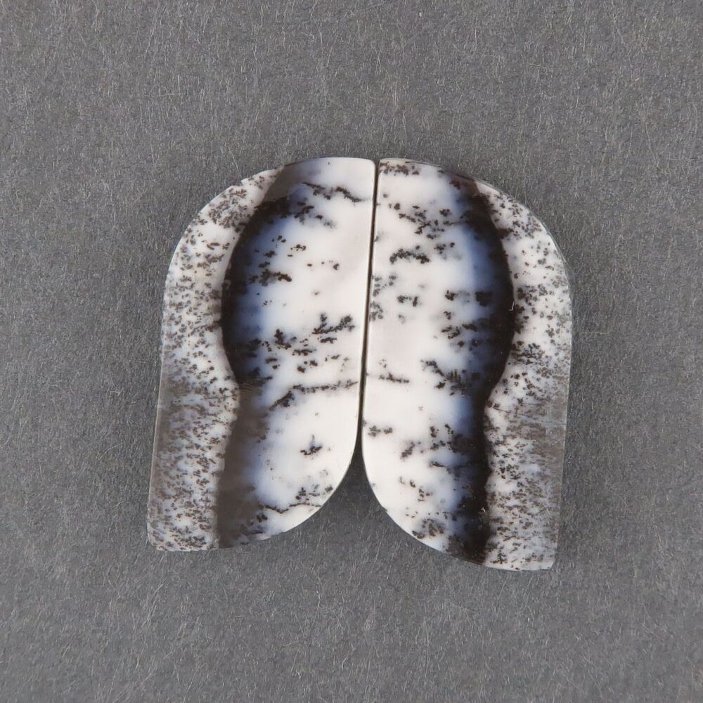Dendritic agate pair