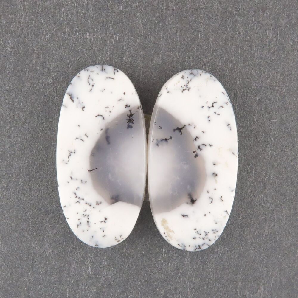 Dendritic agate pair