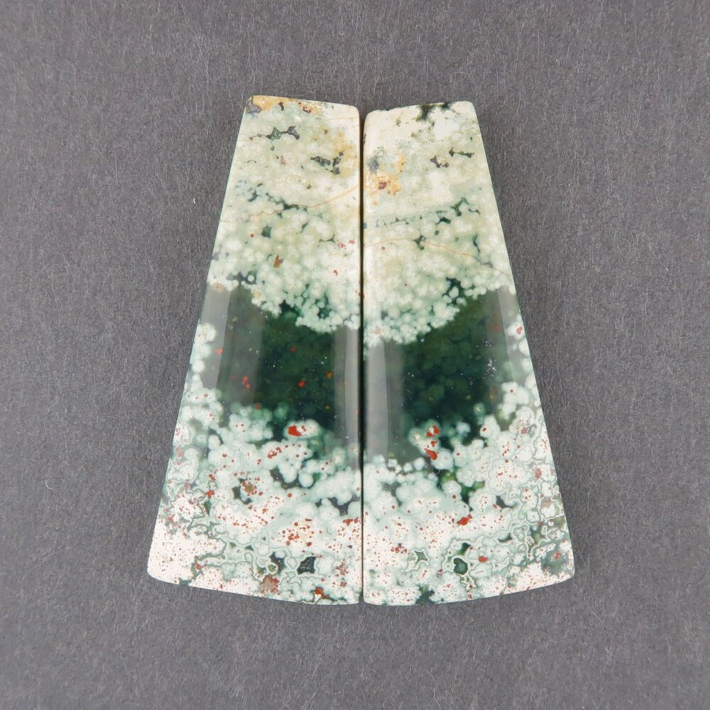 Ocean Jasper pair - 2580