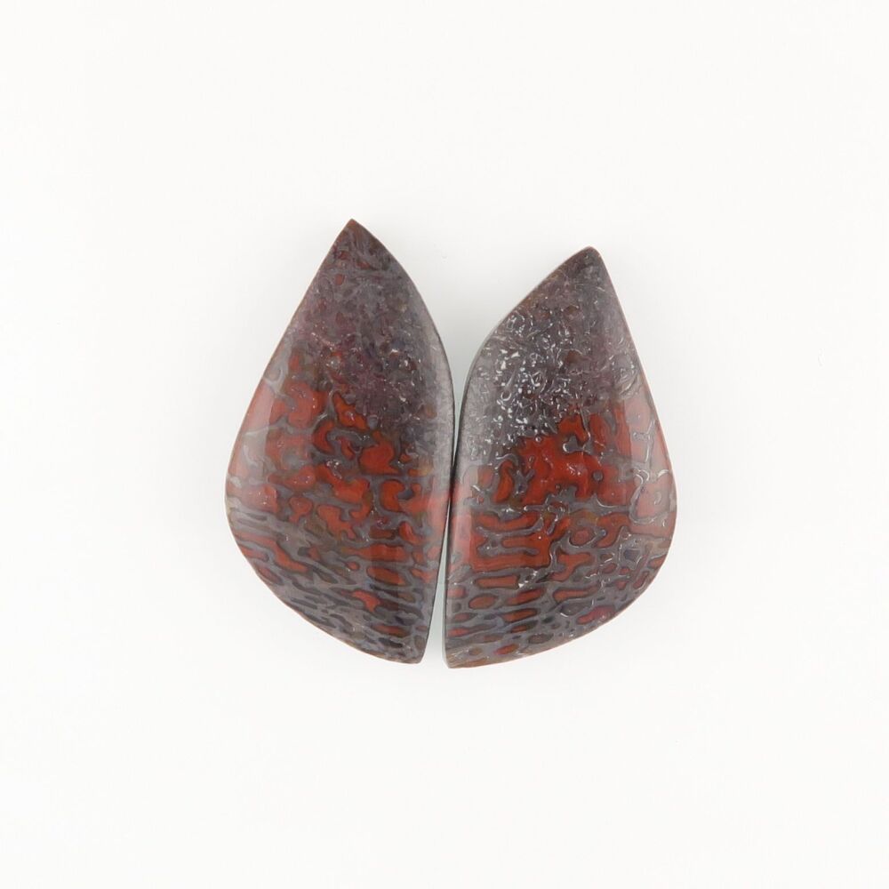 Fossilised dinosaur bone cabochons