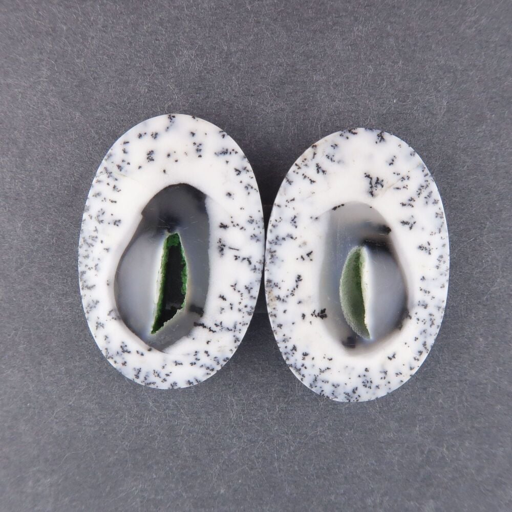 Dendritic agate pair