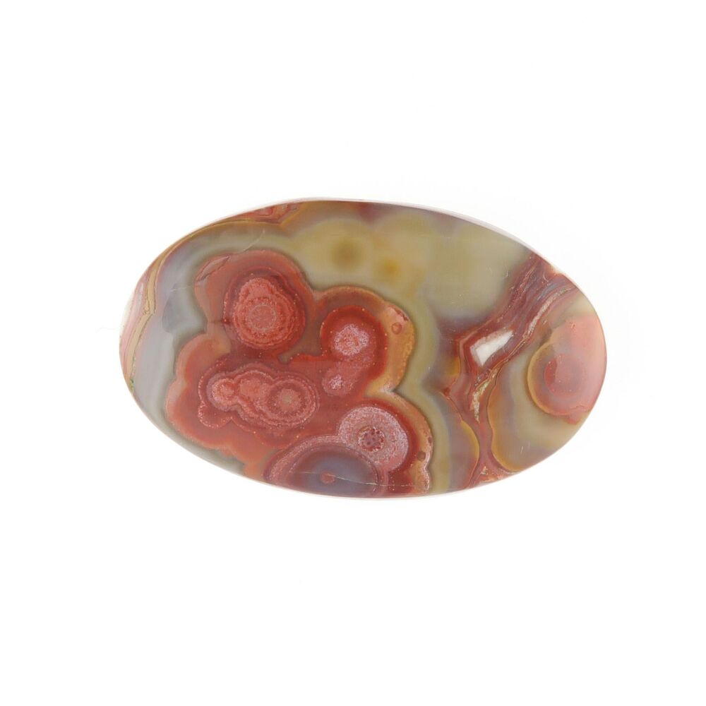 Orbicular agate cabochon - 2809